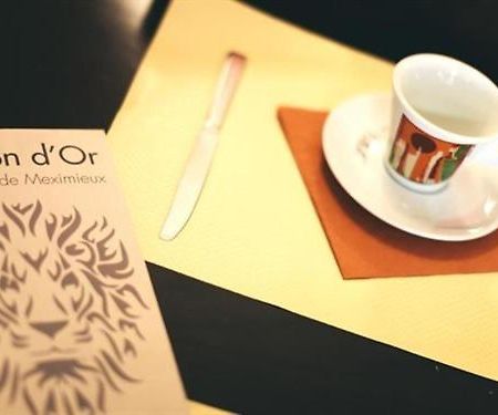 Hotel Brasserie Le Lion D'Or Meximieux Εξωτερικό φωτογραφία